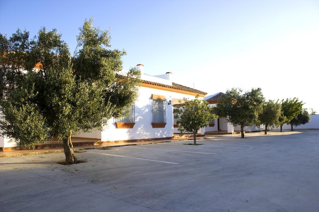 Villa La Dehesa Conil De La Frontera Værelse billede
